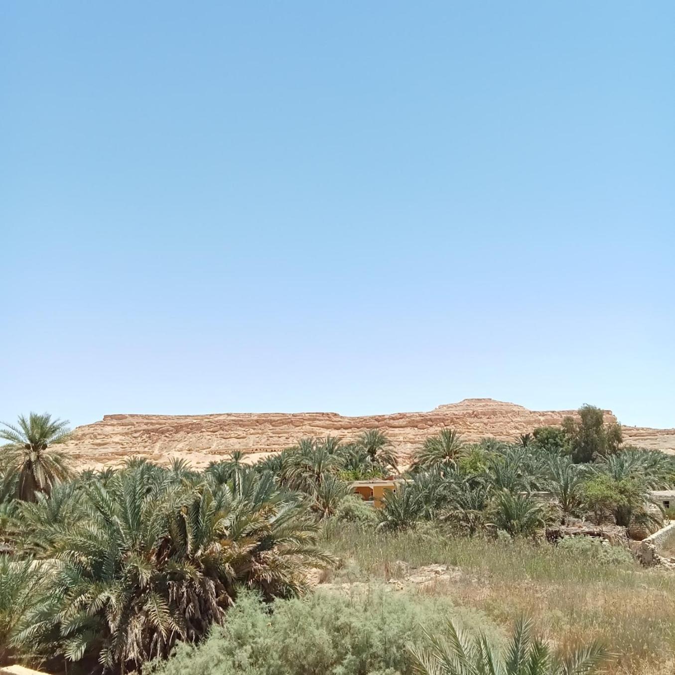 Tanirt Ecolodge Siwa Oasis Ngoại thất bức ảnh