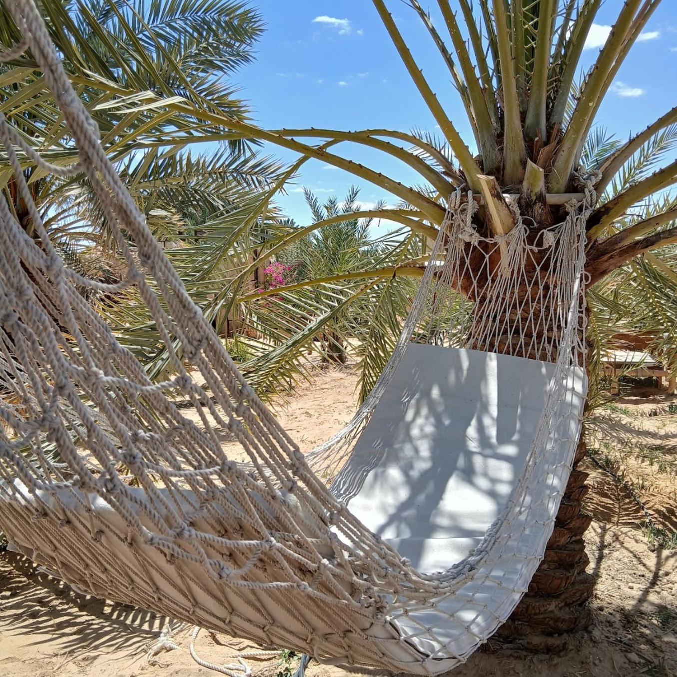 Tanirt Ecolodge Siwa Oasis Ngoại thất bức ảnh